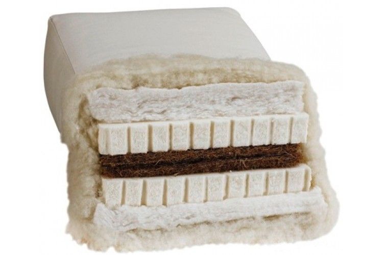 BIOFUTON DW 5.0 Querschnitt