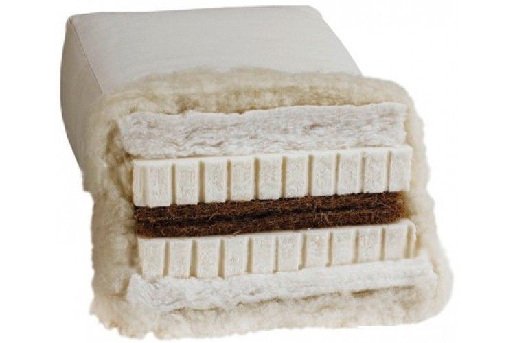 BIOFUTON DW 5.1